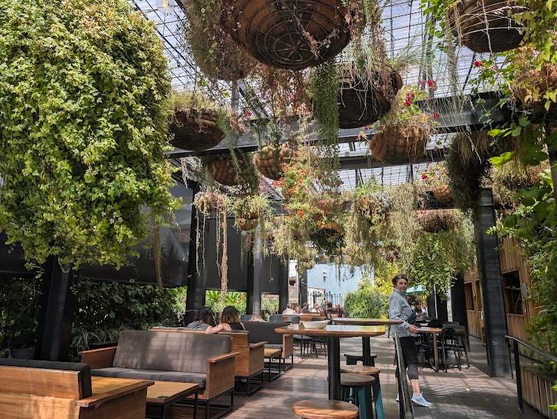 In The Hanging Garden photo 2